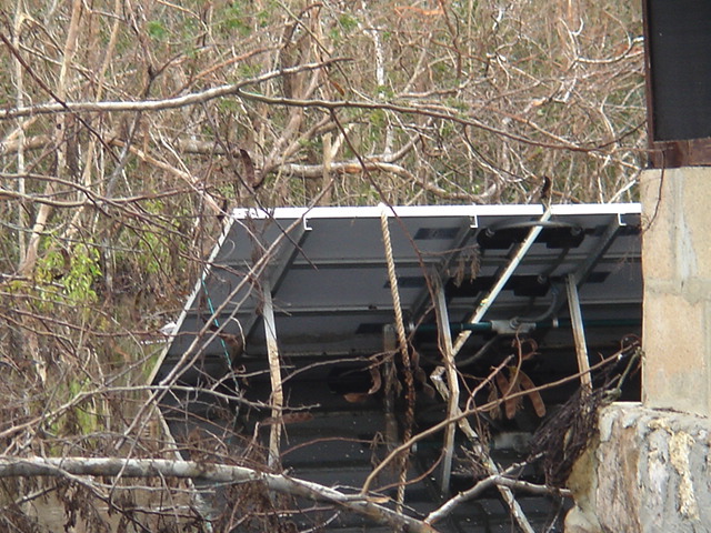 dsc00609.jpg